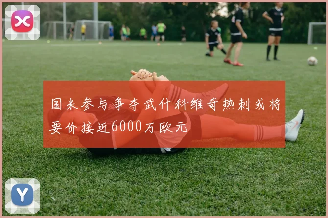 国米参与争夺武什科维奇热刺或将要价接近6000万欧元