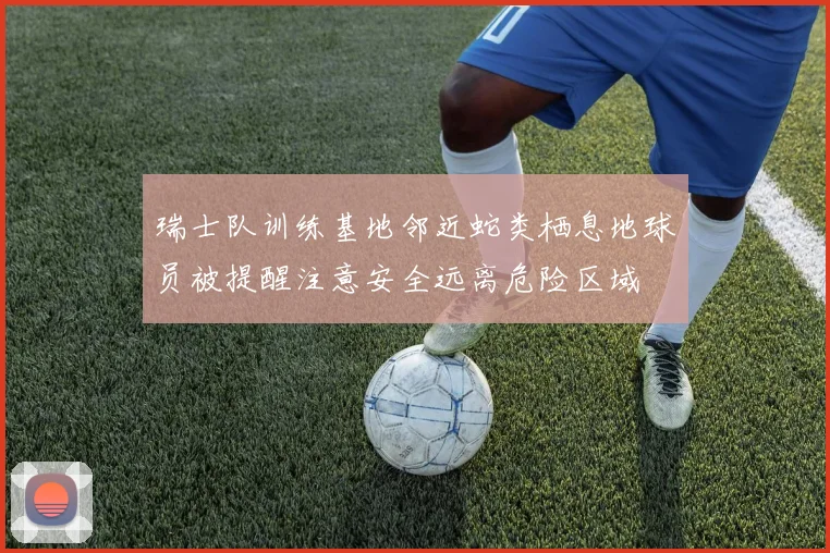 瑞士队训练基地邻近蛇类栖息地球员被提醒注意安全远离危险区域