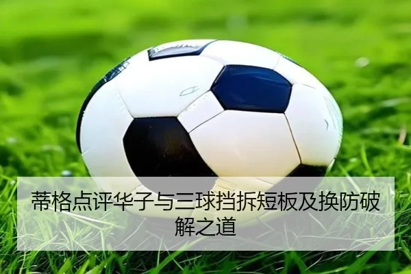 蒂格点评华子与三球挡拆短板及换防破解之道